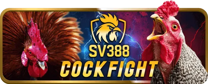 Khuyến Mãi bong69 win